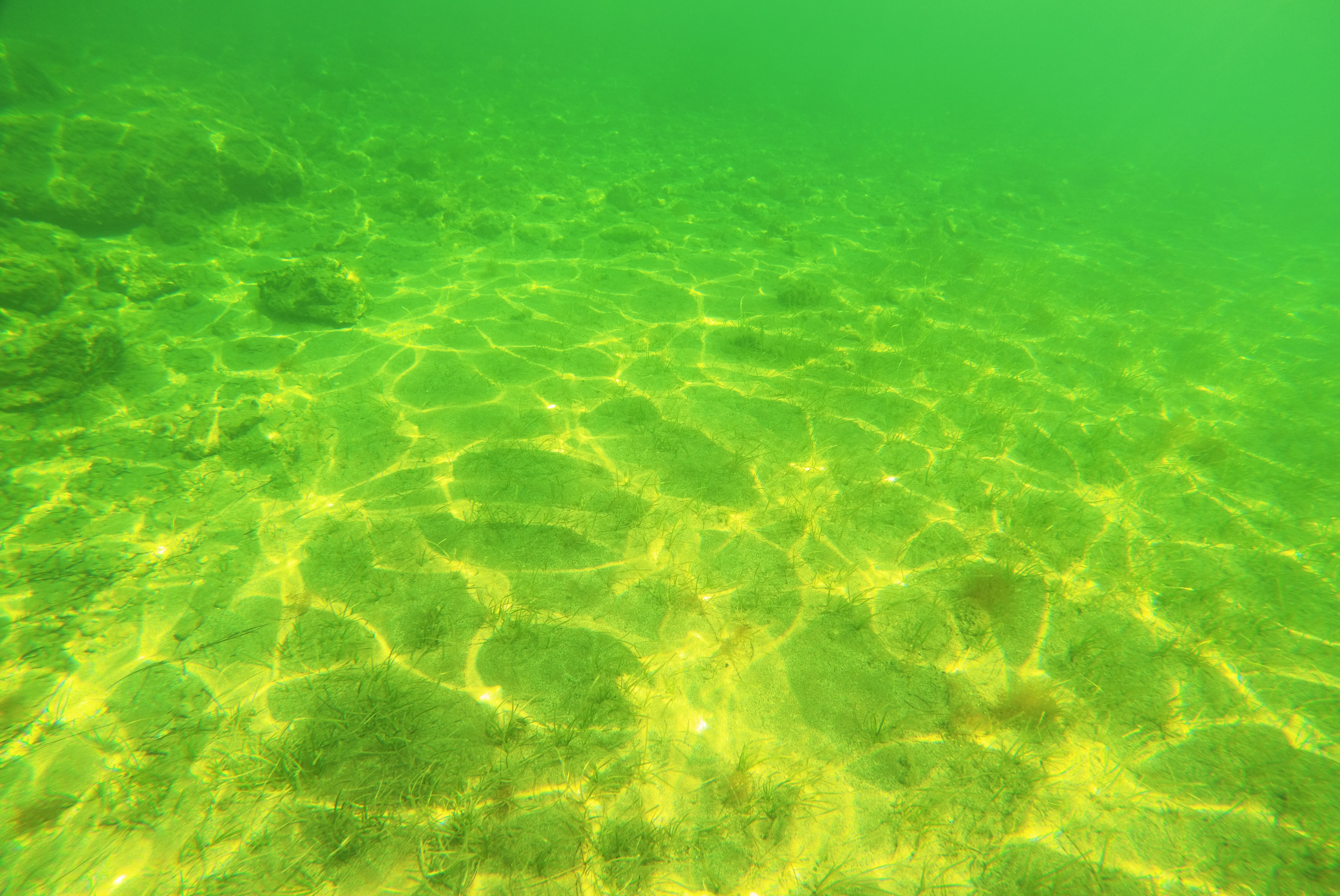 1" mod- Camera Freezing+ bad image quality+ pink image + missing Time ...