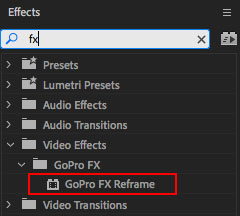 gopro reframe plugin